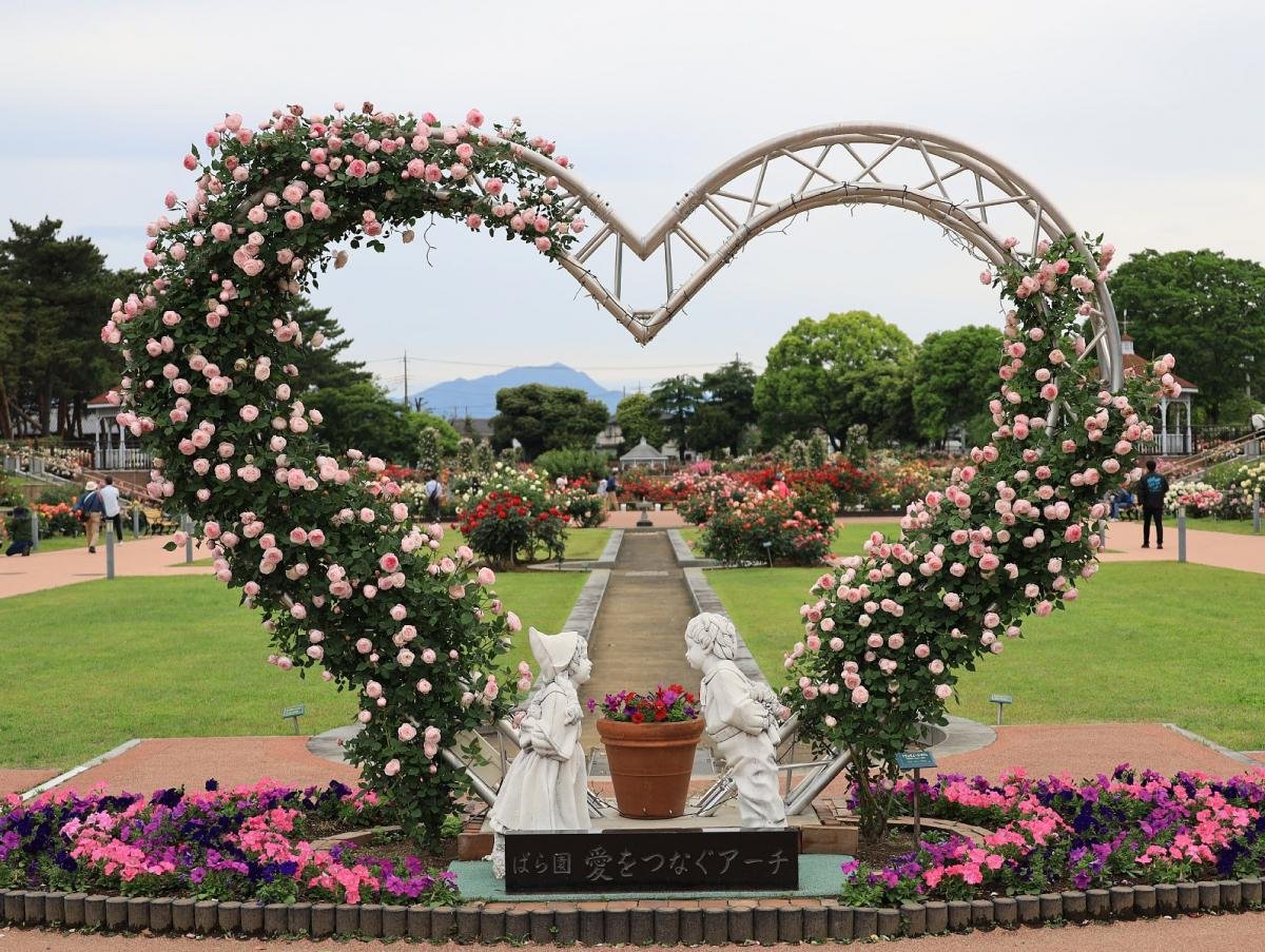 🌹 시키시마 공원 카도쿠라 테크노 장미원(시키시마코우엔 카도쿠라 테크노 바라엔) 이미지 1